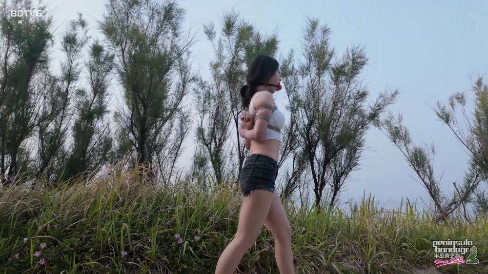 听说宠物坐车喜欢探头~海语-W061110-半岛束艺