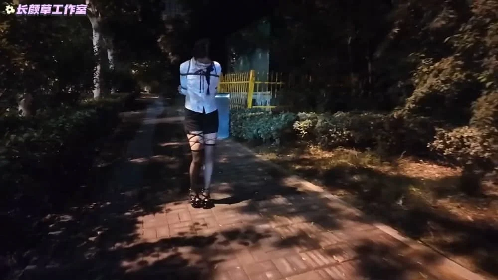 【长颜草】霜喵外出 TD刺激 伸手抚摸下部 强制下跪 呻吟不断 吊带丝袜