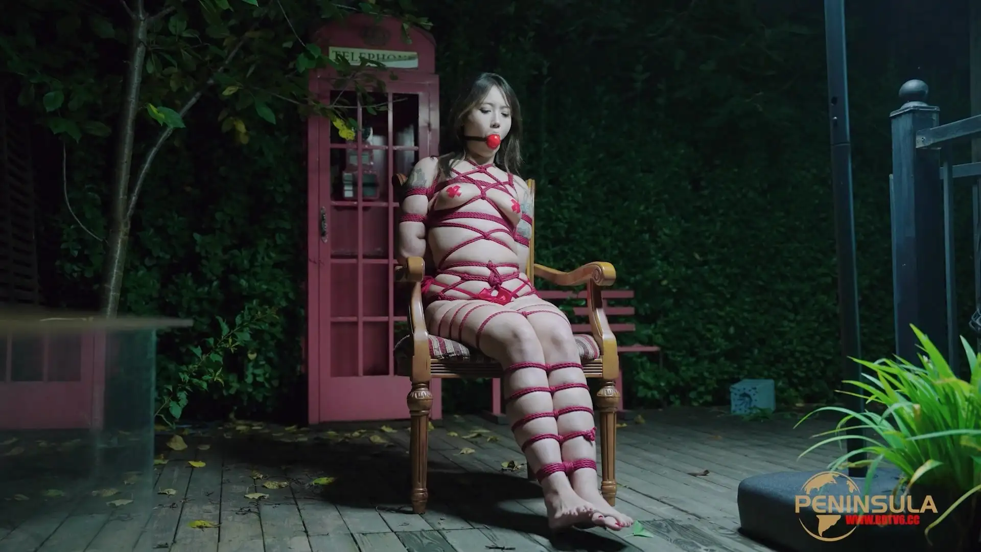 【半岛束艺台】跟波雅打赌是错误的