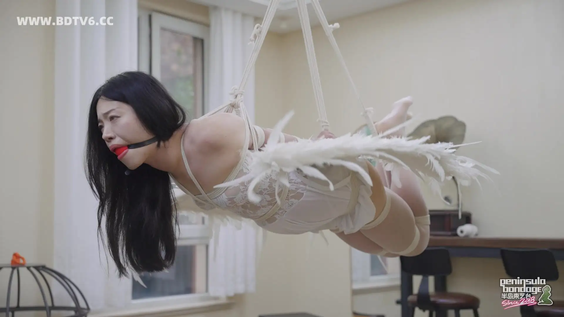 【半岛束艺台】【海语】北欧定拍：天使之梦