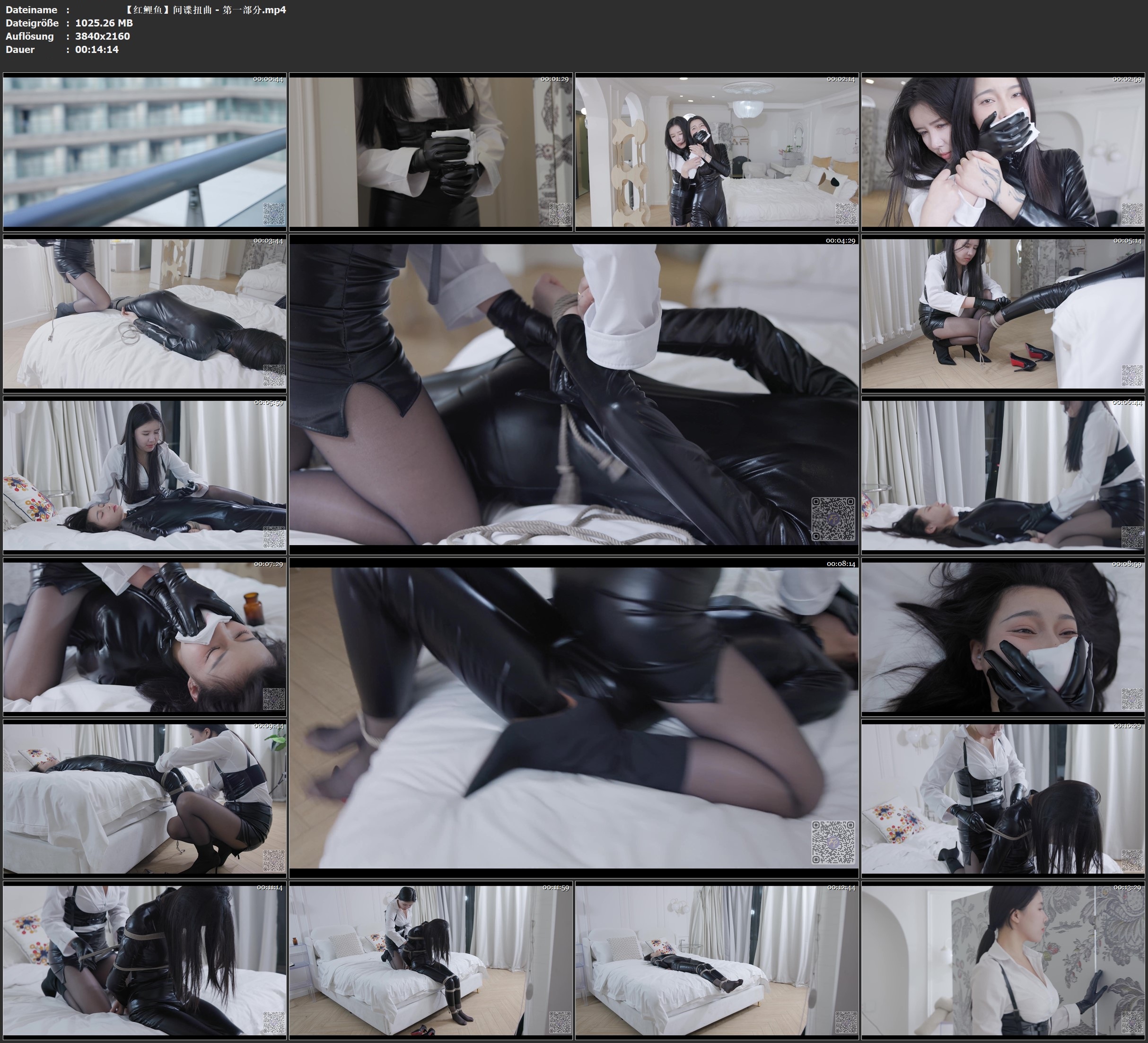 【红鲤鱼】间谍扭曲 – （1-4）