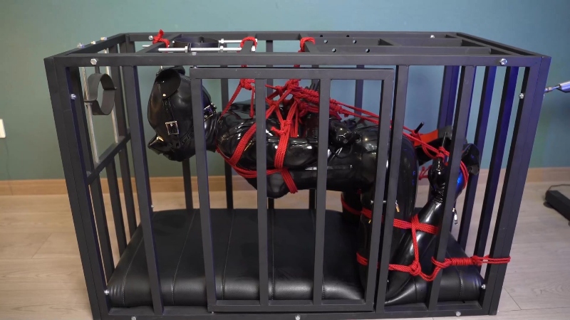 【闪闪工作室】采访×奖励×惩罚 – 一次特殊的乳胶人偶访谈节目