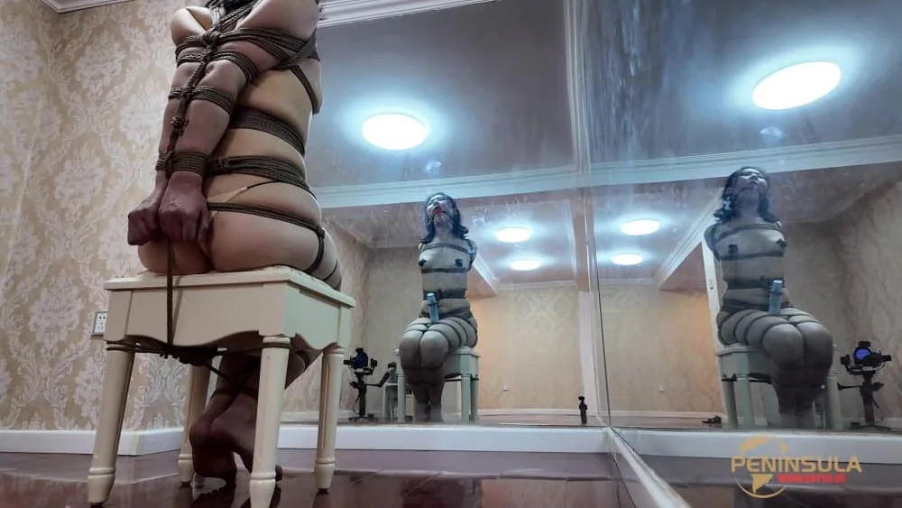 【半岛束艺台】【昭月】尽在掌控