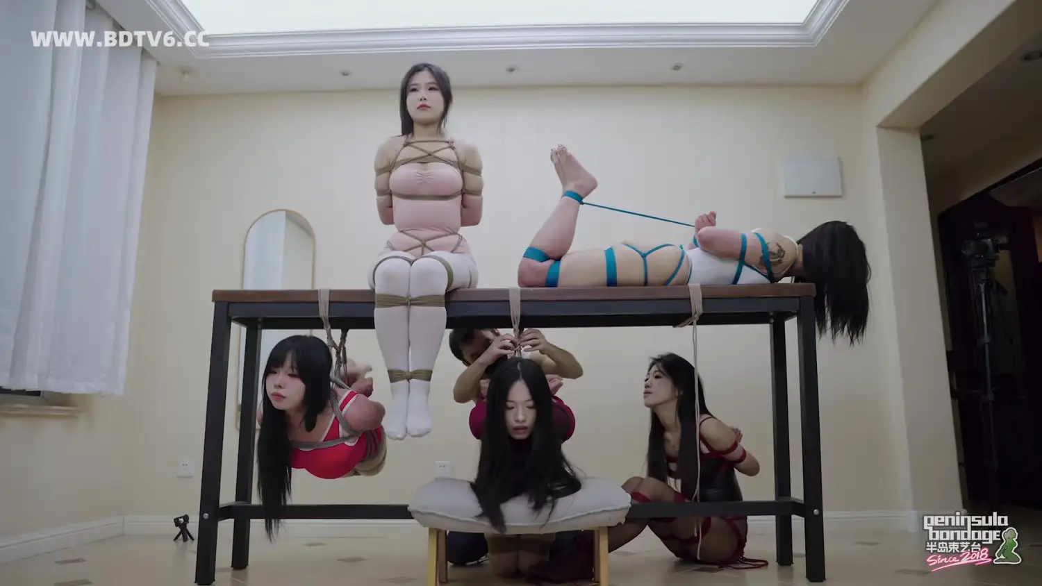 【半岛束艺台】【海语】【波雅】【缇娜】【泽爱】【安生】老桌伏枥，志在千人