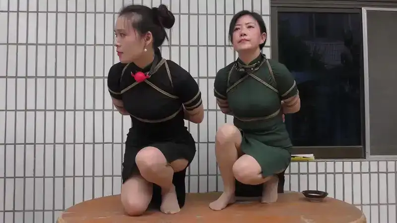 【新胭脂扣】大义无畏6 下 (谢纾 玉润)