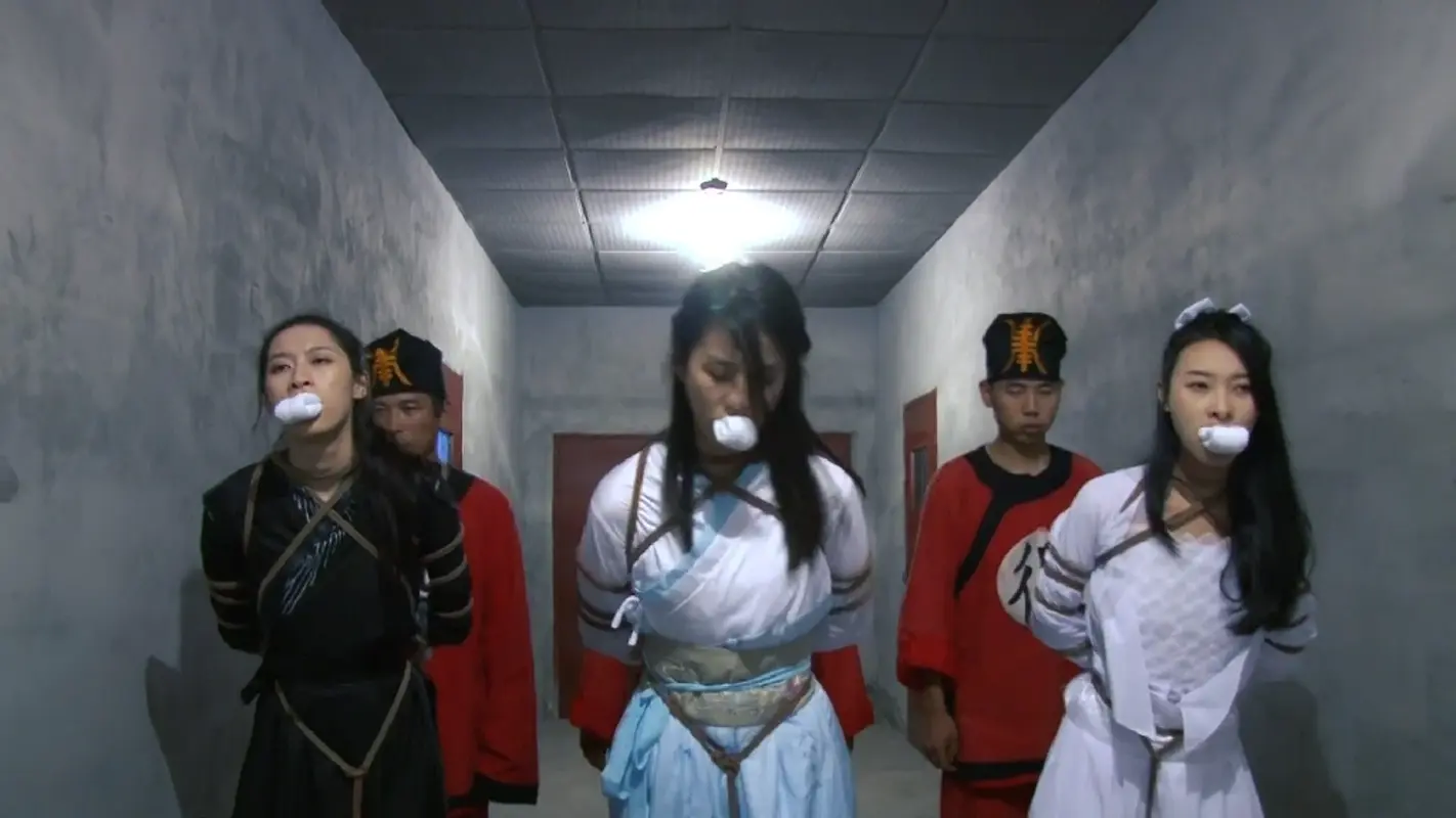 【怀旧影苑】古装剧《女神捕之江南烟云》上下完整版