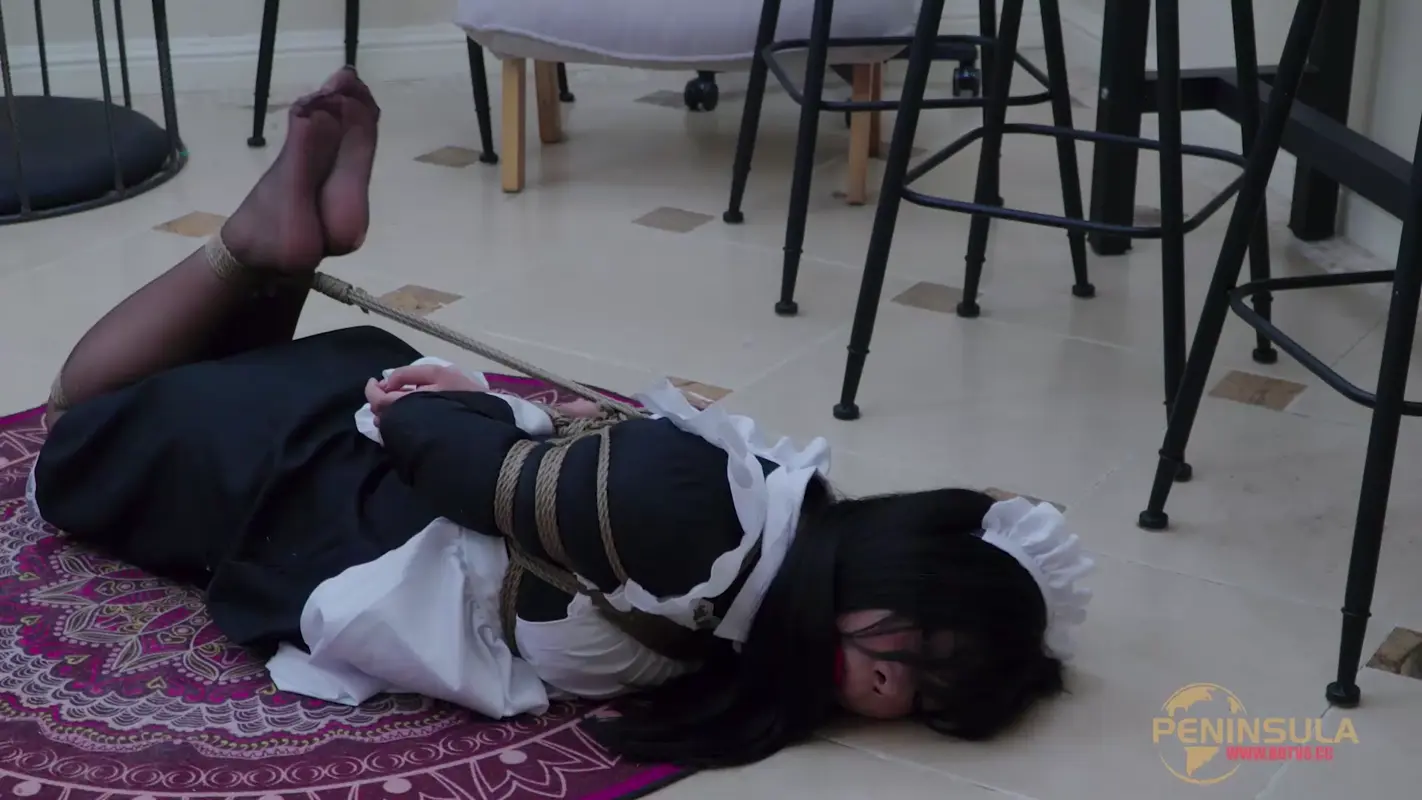 【半岛束艺台】女仆的噩梦（上篇）