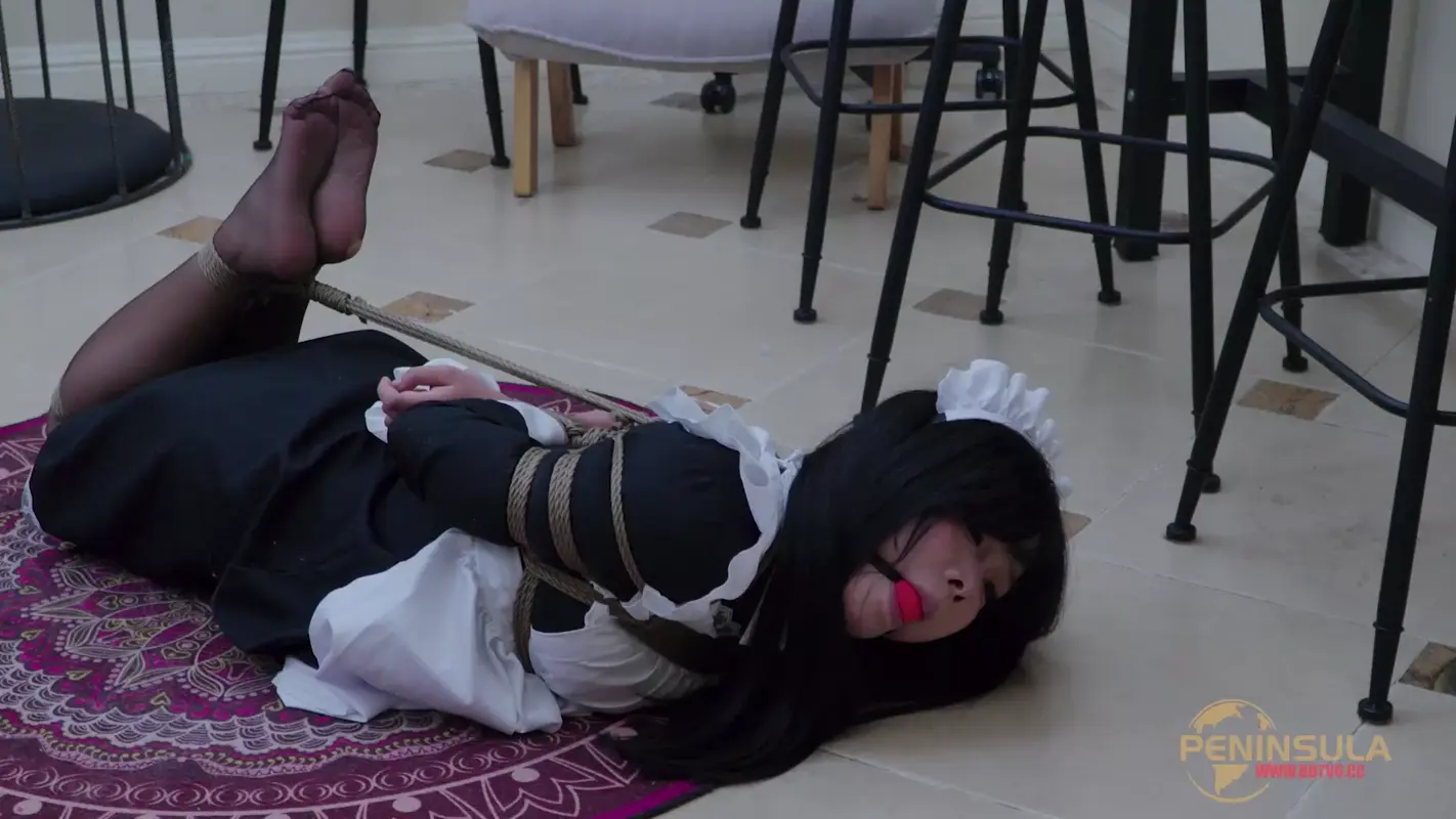 【半岛束艺台】女仆的噩梦（上篇）