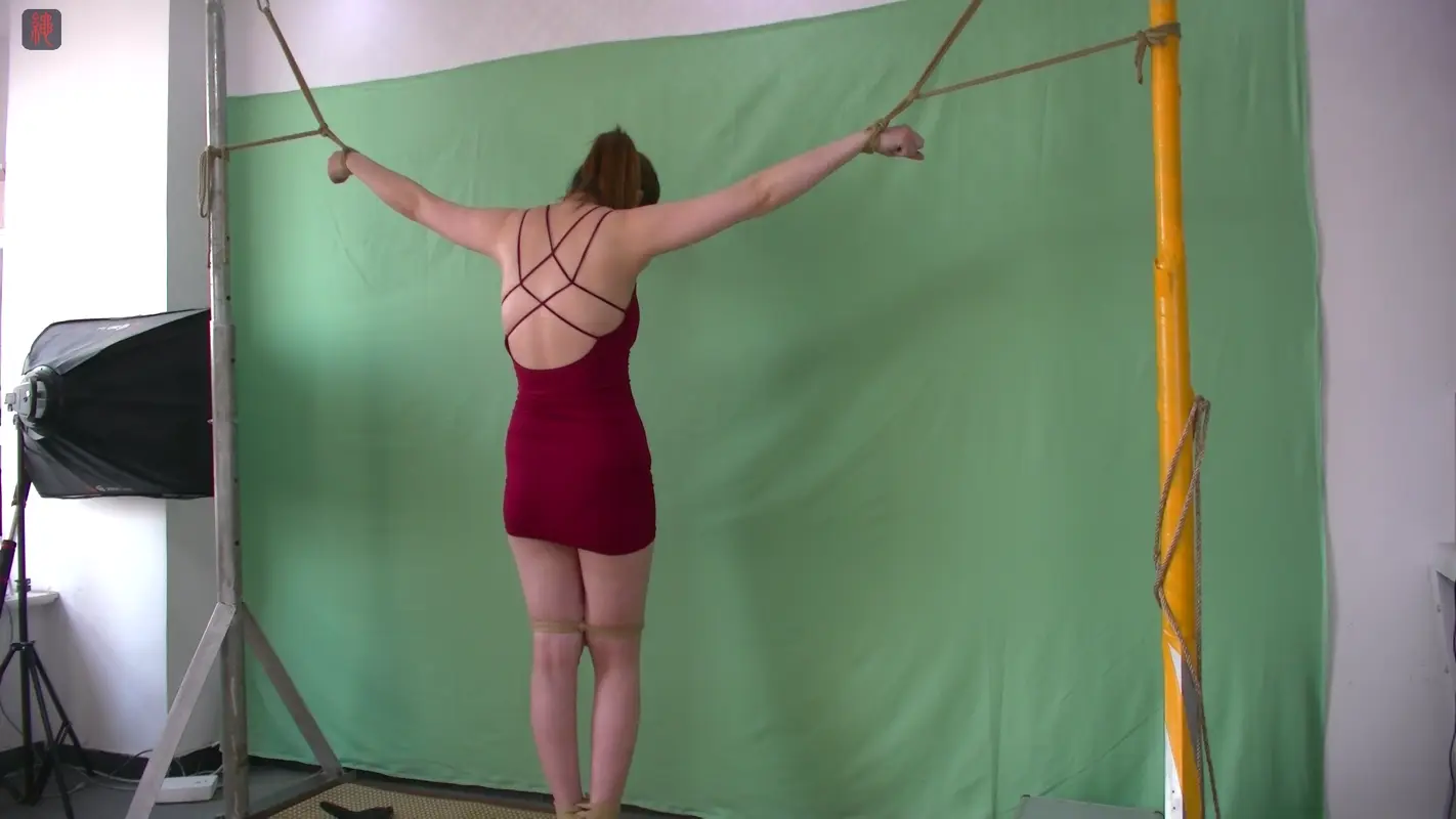【绳之韵】邻家少妇诗韵，日常训奴之体虐篇：交叉吊带小红裙、网红高跟鞋拖，刑架丁字吊、长鞭、短鞭重度鞭打
