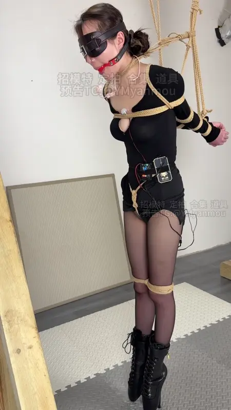 【眼眸出品】《芭蕾舞鞋后直臂178》