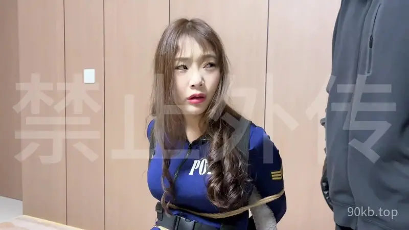 【会员寻片】【云雀工作室】缉拿队姐妹-下