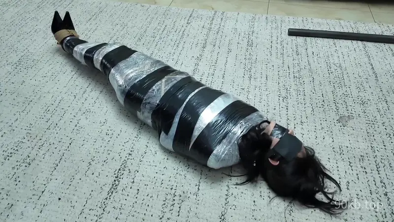 【枫叶工作室】《彩虹与黑猫·黑猫小分队·黑白蛇争艳妙计擒鼠》