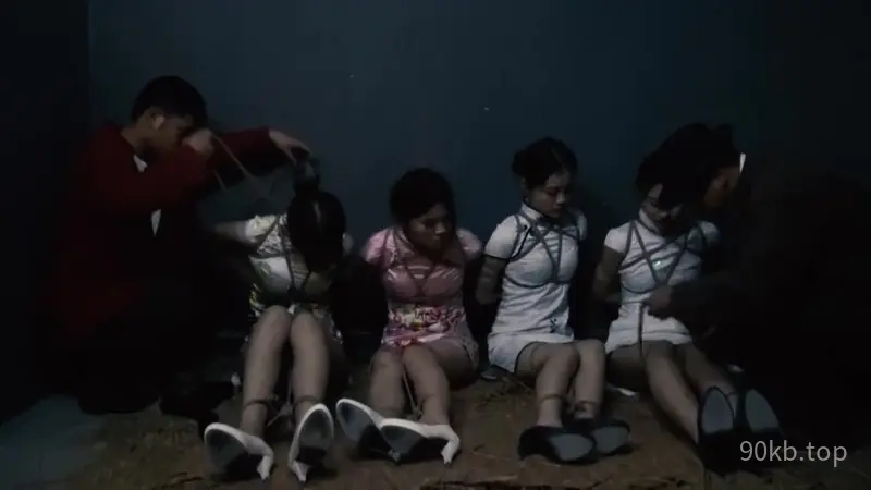 [胜景影视] 女子特工队（第三集下）