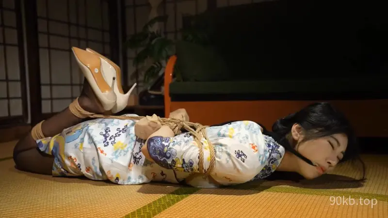 【官官】空姐最后一次任务