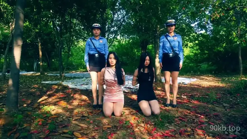 【胜景影视】《知法犯法之空姐没落 》 女执法官郭莉莉知法犯法被毒贩潇悦悦用金钱收买，帮助毒贩潇悦悦贩毒最后被执行枪决