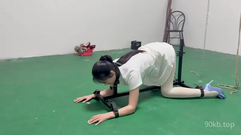 【媚娘工作室】k9架折磨被逼飙脏话