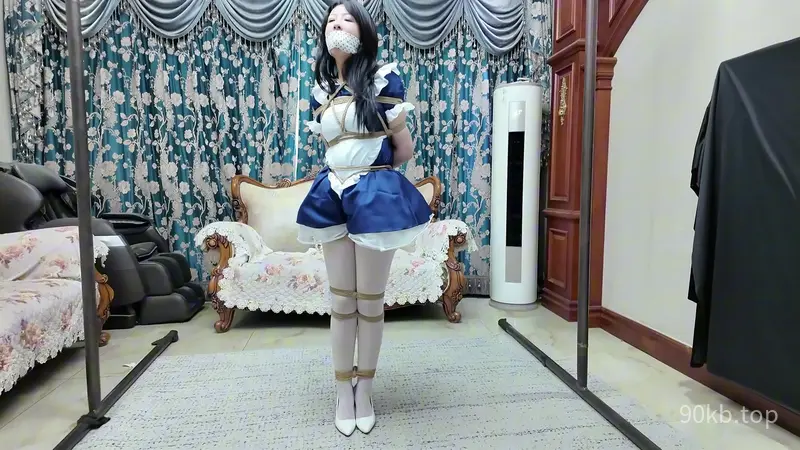 【枫叶工作室】《她们的故事·米粒·领导大人是女仆》【蓝调女仆】【白丝雪糕】【放置电疗】【罚站SP】